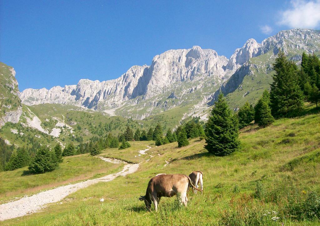 كاستوني ديلا بريسولانا Eurohotel Mountain Wellness المظهر الخارجي الصورة